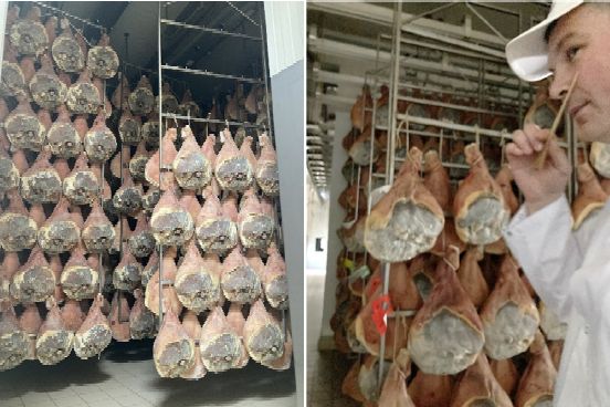 スロベニアの食肉加工会社「KRAS社」生ハム生産の様子