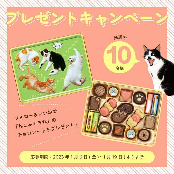 メリーチョコレート Instagram「ねこみゃみれ」プレゼントキャンペーンイメージ