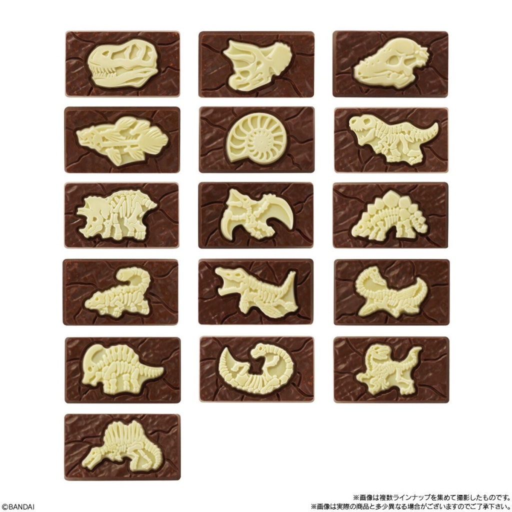 「【大袋】 キャラパキ 発掘恐竜チョコ」化石ラインナップ(全16種類)
