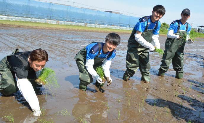 「横浜FCアグリプロジェクト“ハマ米”」田植えの様子(左から内田C.R.O、清水悠斗選手、宇田光史朗選手、高塩隼生選手)