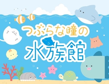 「つぶらな瞳の水族館」イメージ