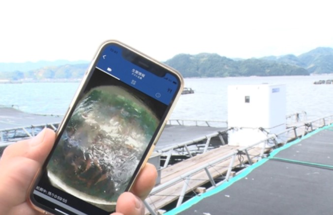 スマホで魚の様子や給餌量を確認