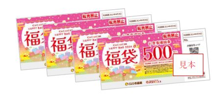 ココイチ福袋2024「お食事補助券 2000円分(500円券×4枚)」