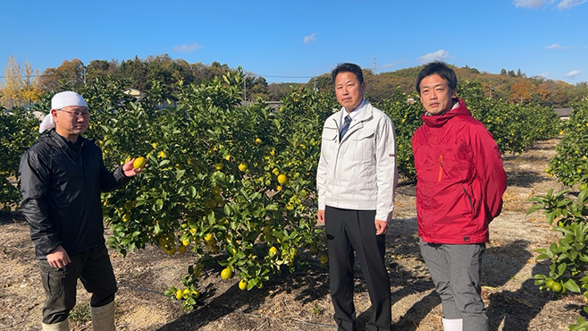 ポッカサッポロのレモン園地(左から)高寺リーダー、大崎上島町の坂田課長、土屋グループリーダー