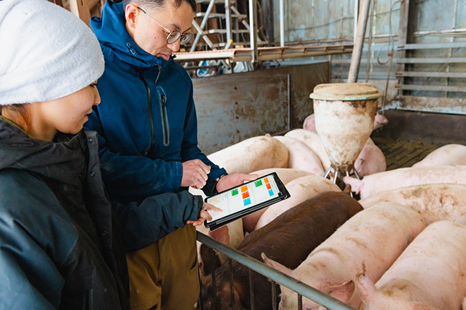 べルシステム24とEco-Porkが養豚の課題解決に向け資本業務提携