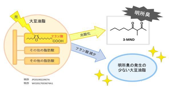 大豆油の明所臭発生の図説