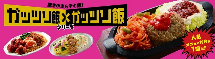 イオン 冷凍食品「トップバリュベストプライス ガッツリ飯×ガッツリ飯」発売