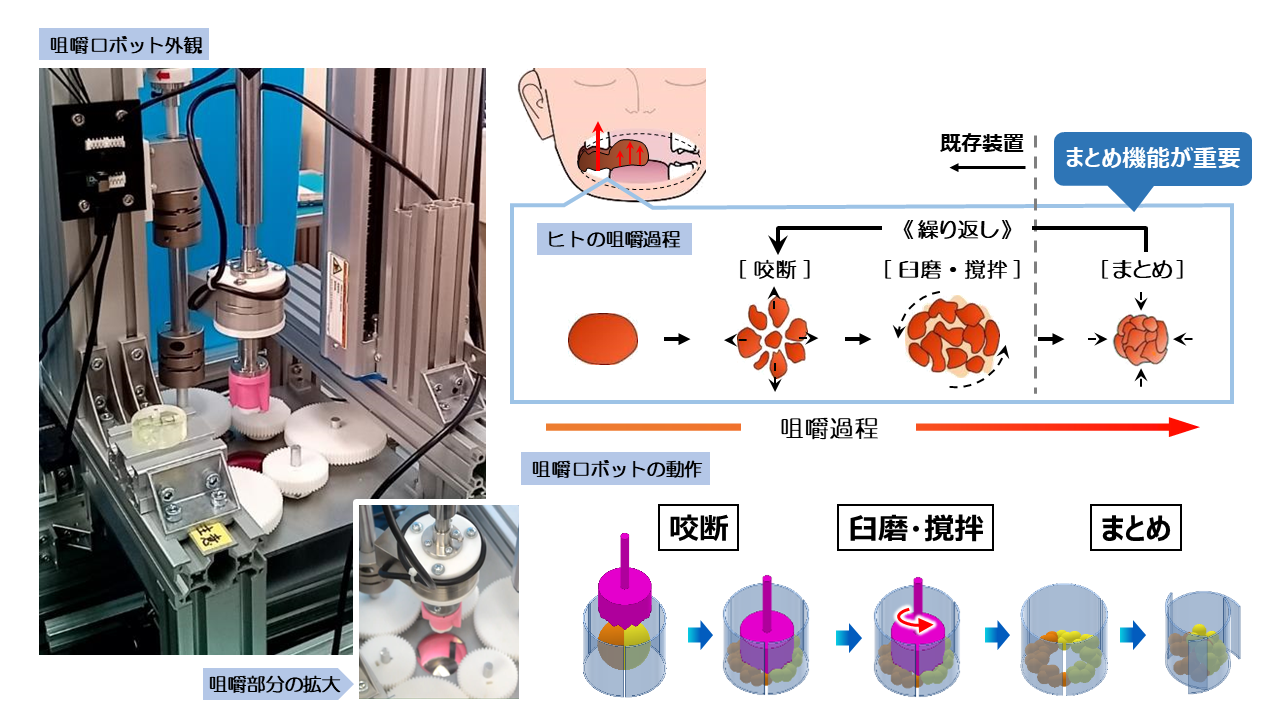 J-オイルミルズ、咀嚼の仕組みの全工程を再現できる咀嚼ロボット