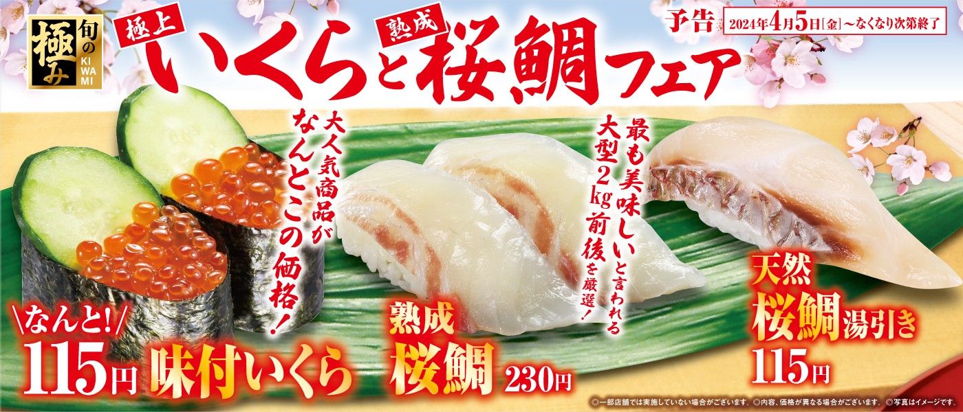くら寿司「極上いくらと熟成 桜鯛」フェア開催