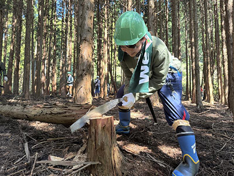 「AGF ブレンディの森」鈴鹿の活動