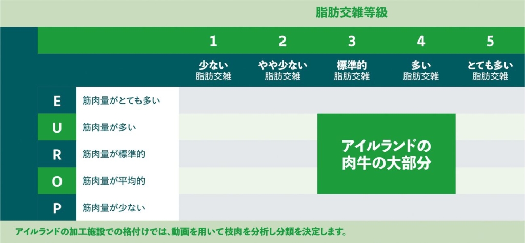 EUROP分類システム