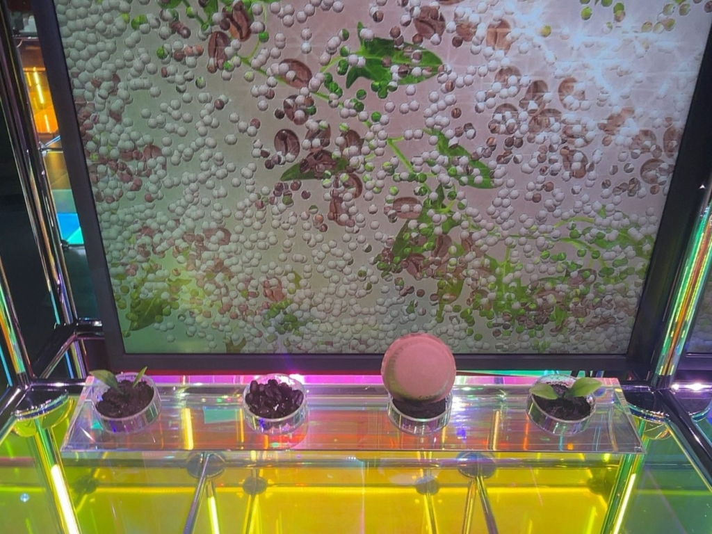 紙製ポッドや芽生えをモチーフに循環を紹介