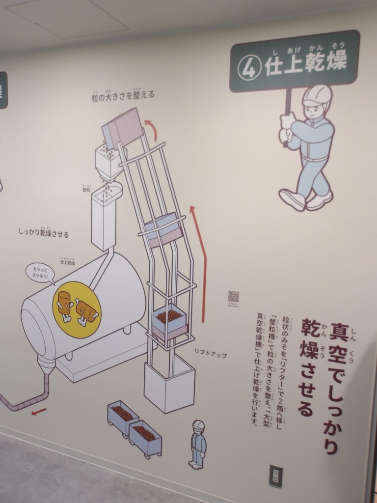 仕上乾燥