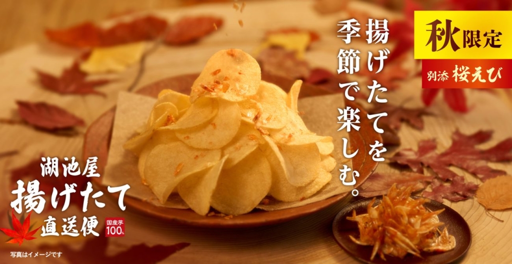 「秋の揚げたて直送便 柚子香る出汁」イメージ