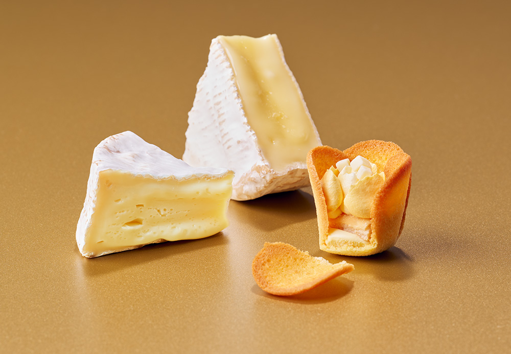 TOKYO TULIP ROSE「チューリップローズ チーズ」