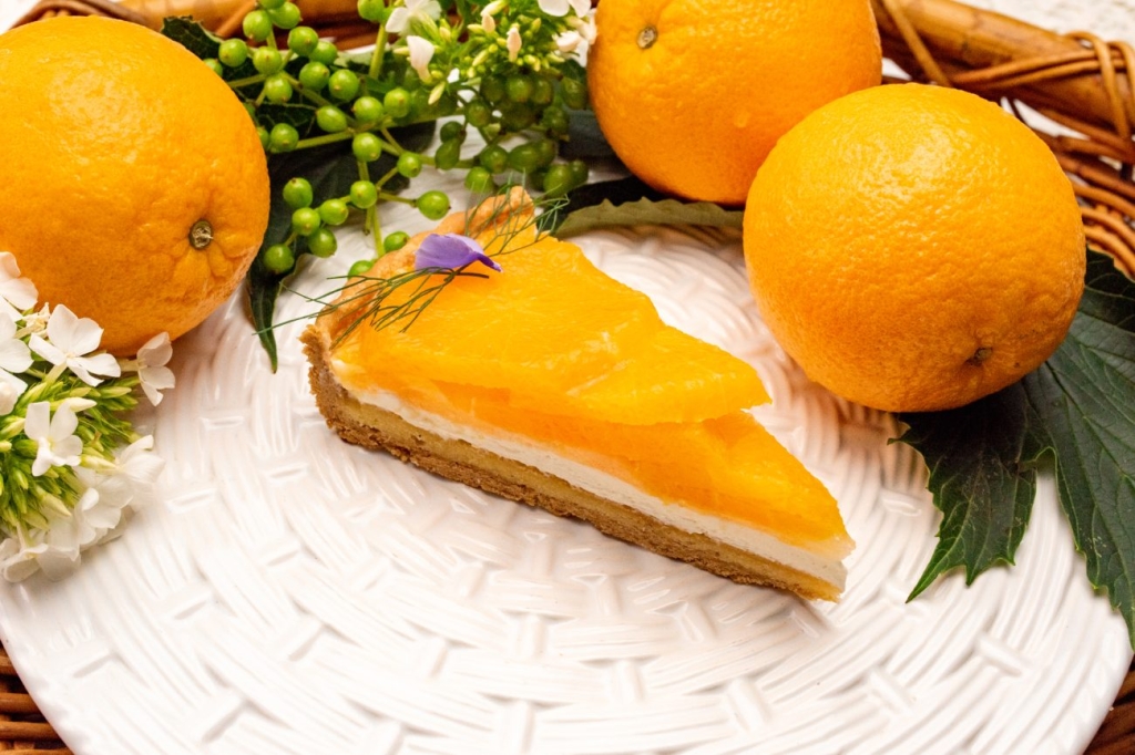 静岡県浜松市産 “白柳ネーブル"のタルト piece