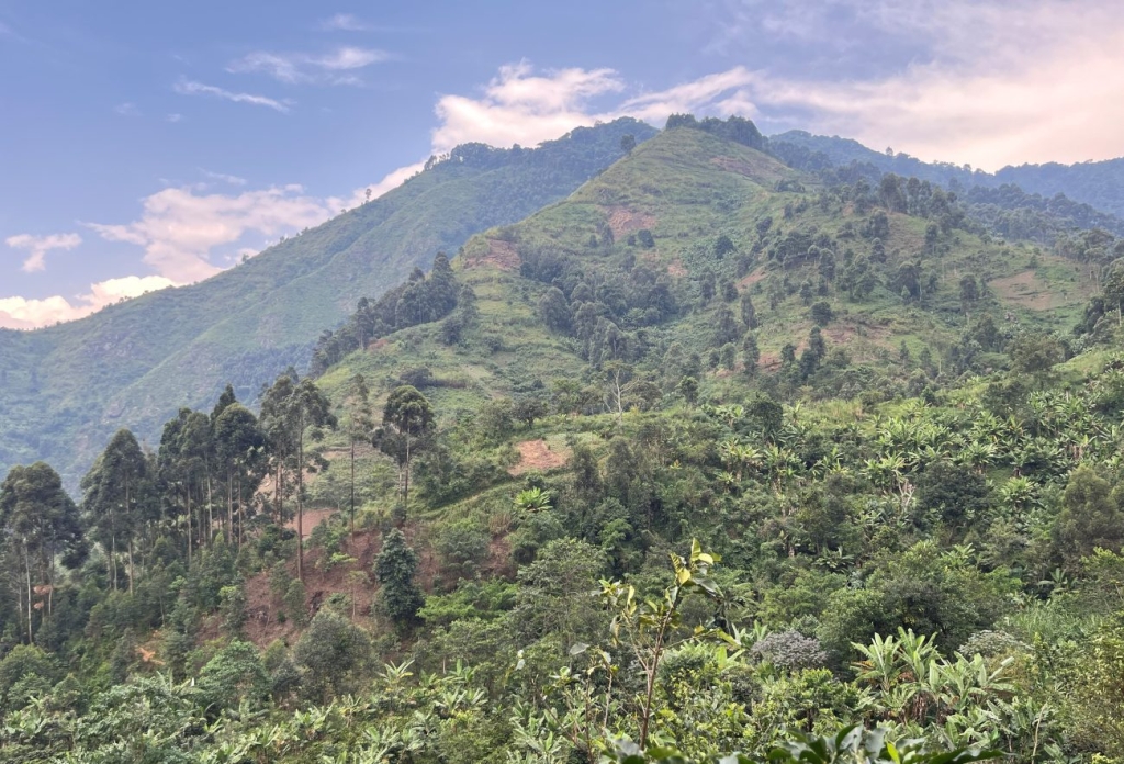 ウガンダ・ルウェンゾリ山脈