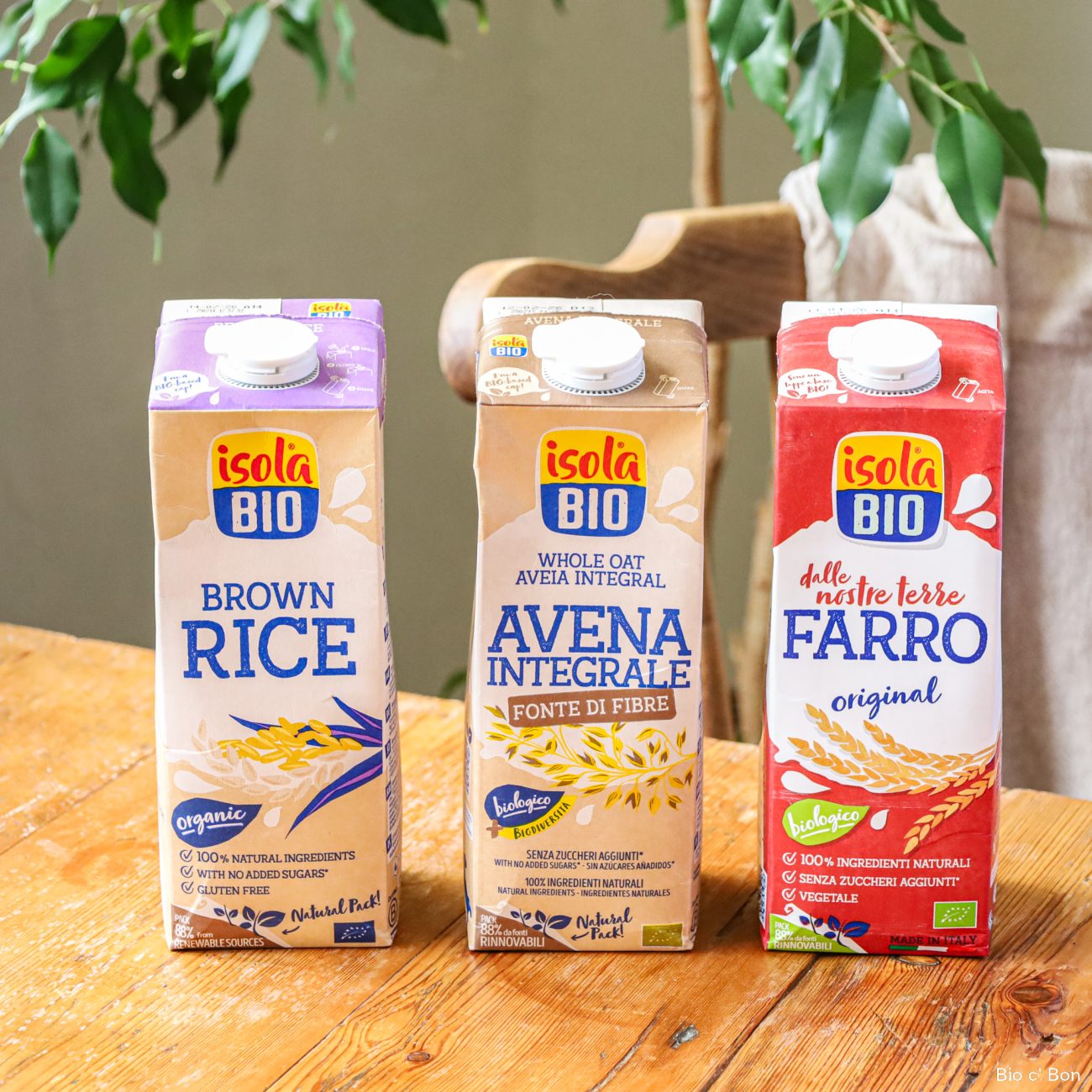 オーガニック植物性ミルク「イソラビオ」