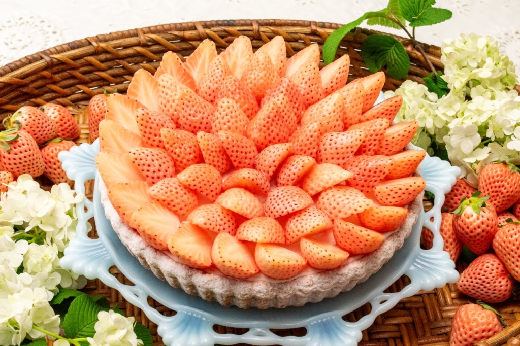 「特選 “淡雪”のタルト」