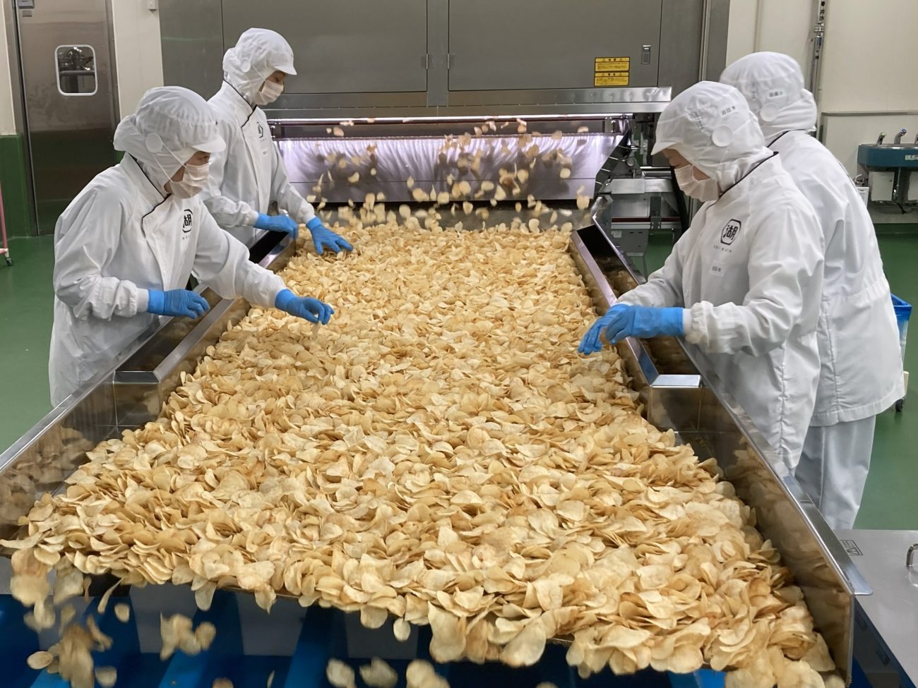 ポテトチップスの選別工程