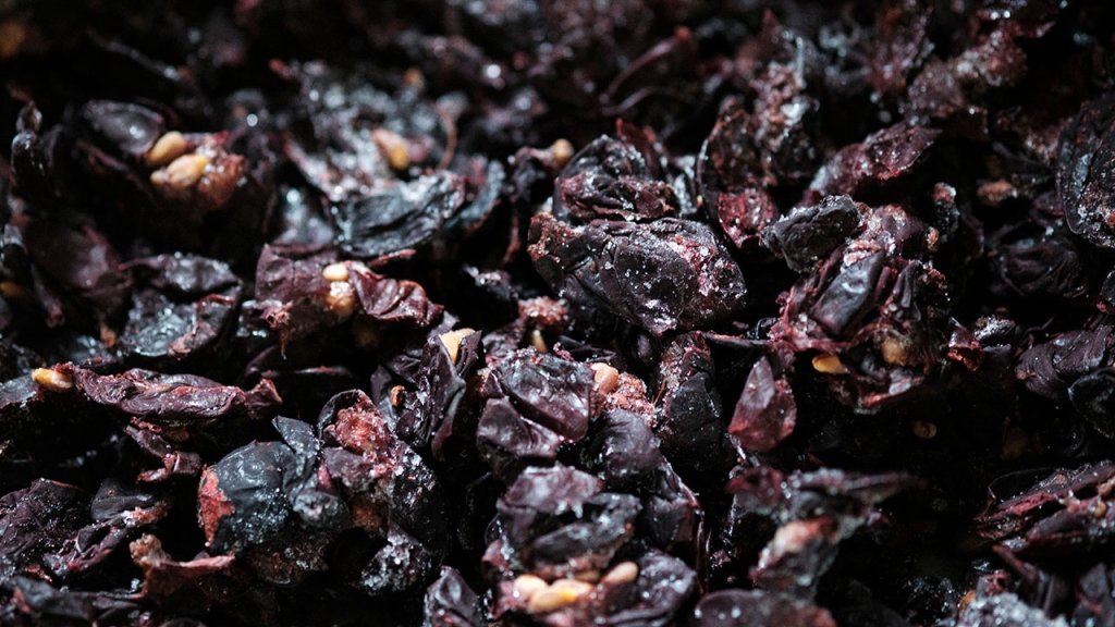 ワインづくりを終えた葡萄の果皮を再利用