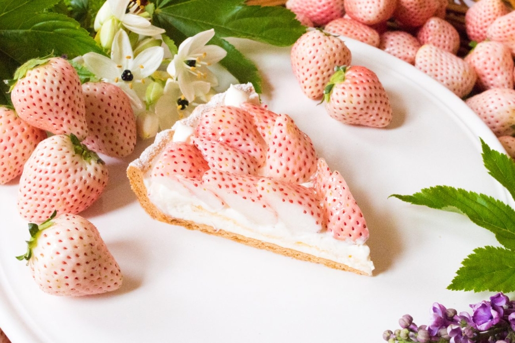 「特選 白イチゴ “初恋の香り”のタルト」ピース