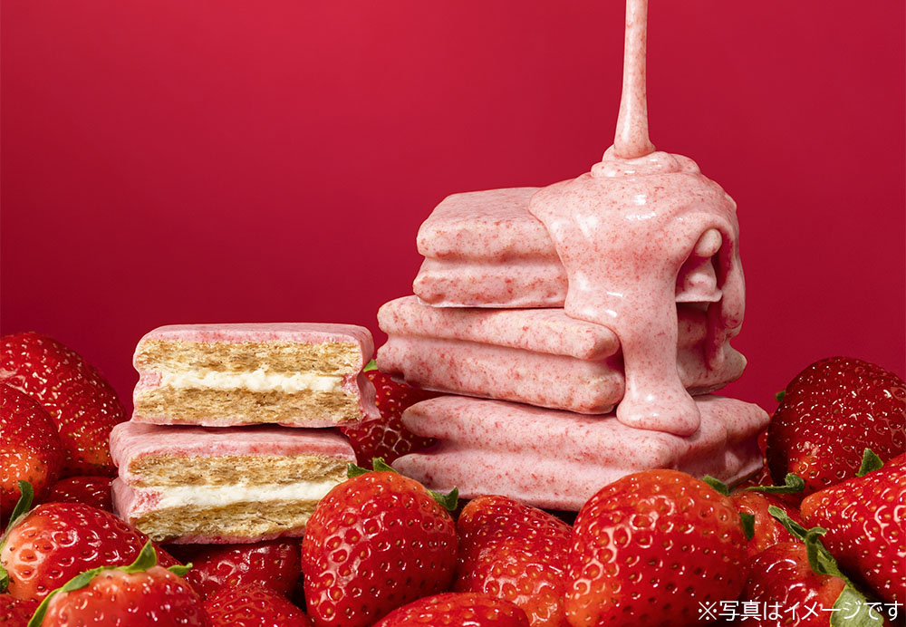 苺配合率40%の『濃苺ショコラ』でホワイトショコラサンドをまるごと包んだ