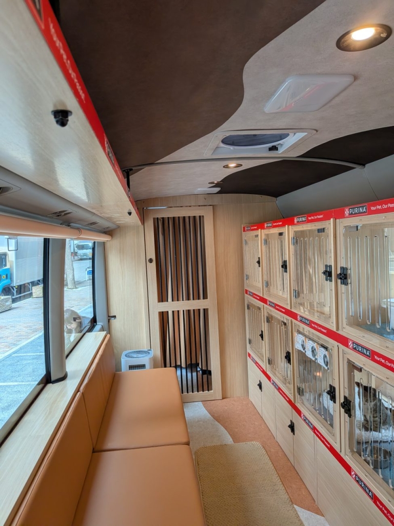 ネコのバス　内装　ソファでリラックスして触れ合える　活発な猫ちゃんにうれしいキャットウォーク