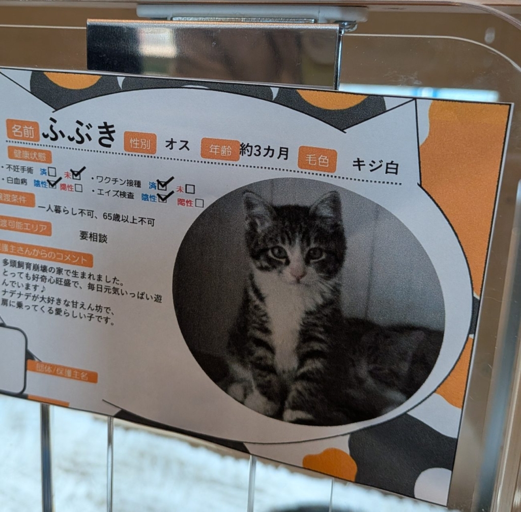 ふぶきちゃんの紹介文