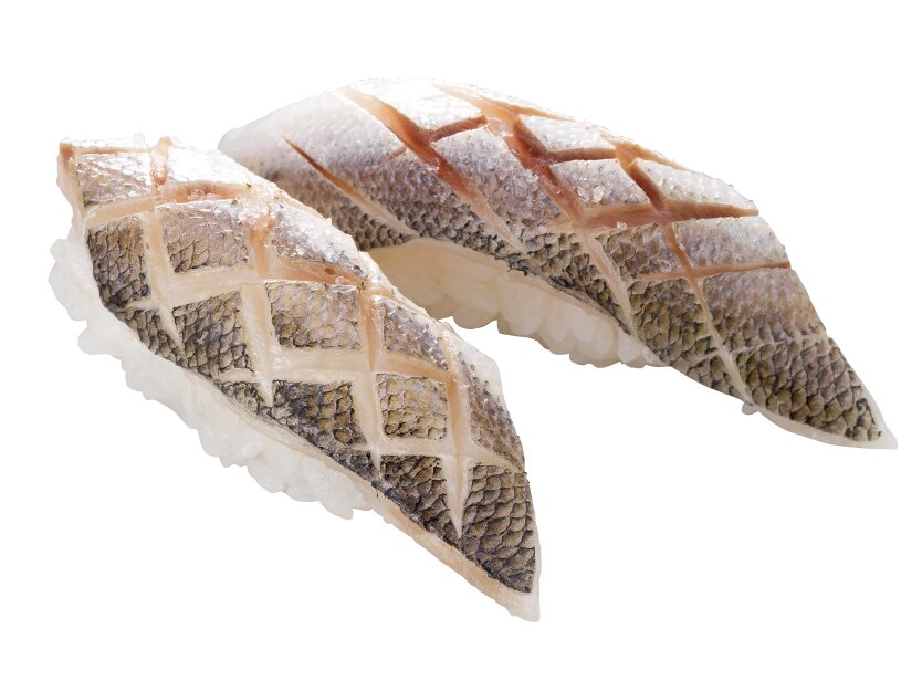 宮崎県産 赤かます塩〆炙り