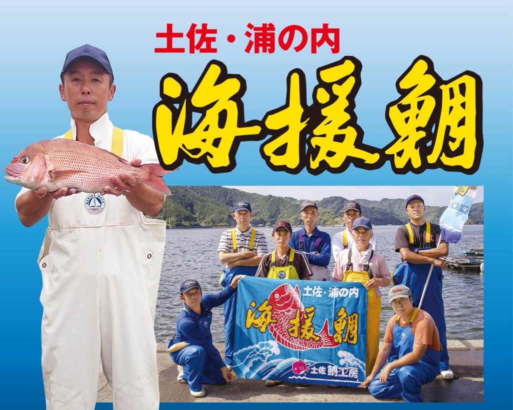 高知県浦ノ内湾のブランド真鯛「海援鯛(かいえんたい)」