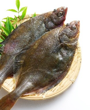 宗八カレイ(北海道産)