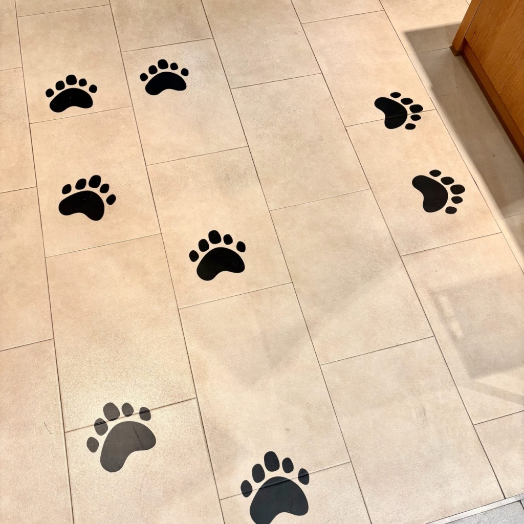 店内にはクマの足跡が