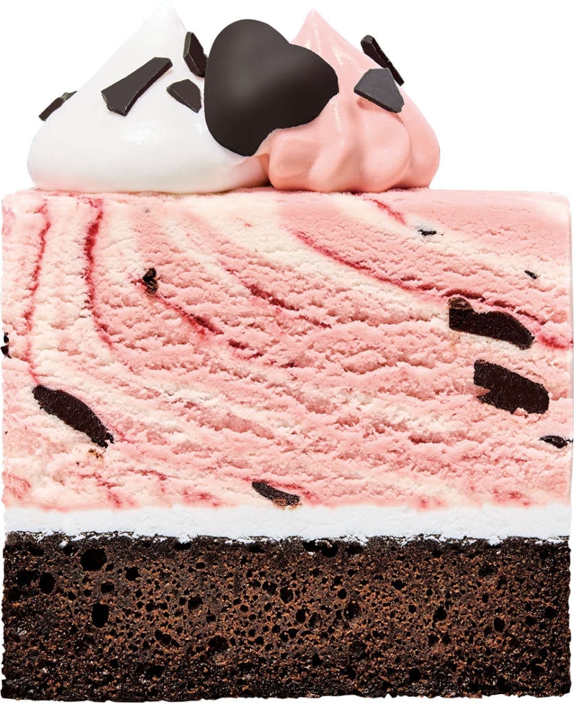 31 チョコレートラズベリーケーキ made from ラブポーションサーティワン 断面