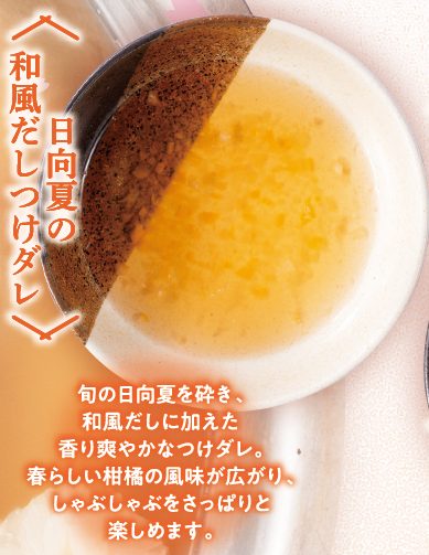 日向夏の和風だしつけダレ