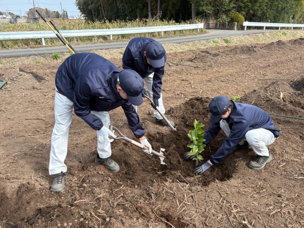 レモン苗木を定植する静岡県立磐田農業高等学校の学生