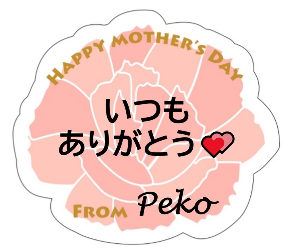 母の日期間限定「メッセージペーパープレート」記入例