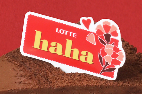 ガーナ 濃厚生チョコケーキ 母の日ピック