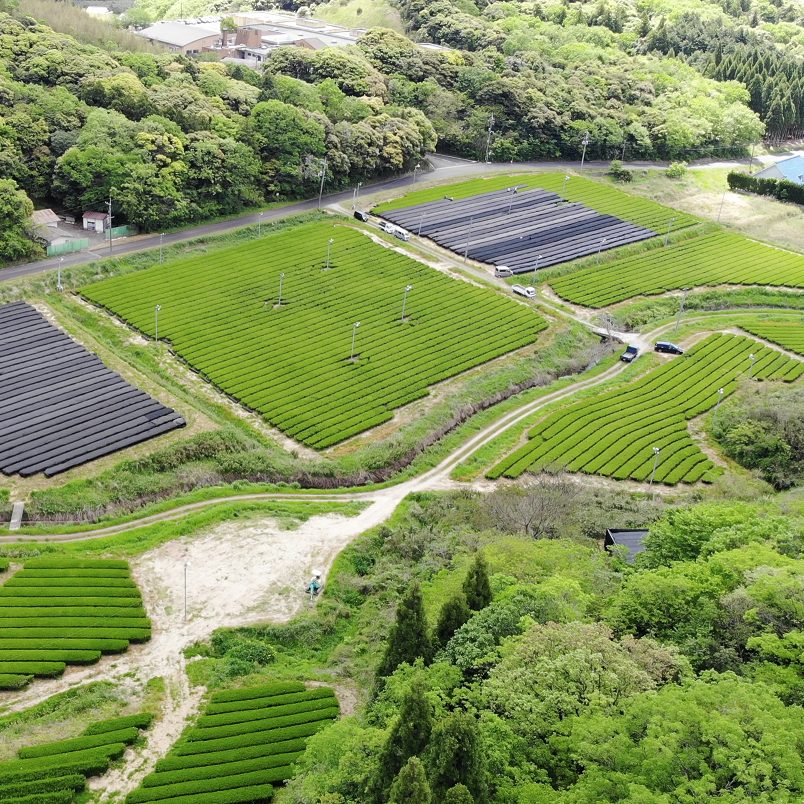島根県出雲市 出雲抹茶生産地 イメージ