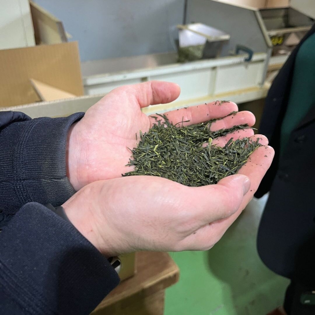 出雲抹茶 製造過程の様子 イメージ