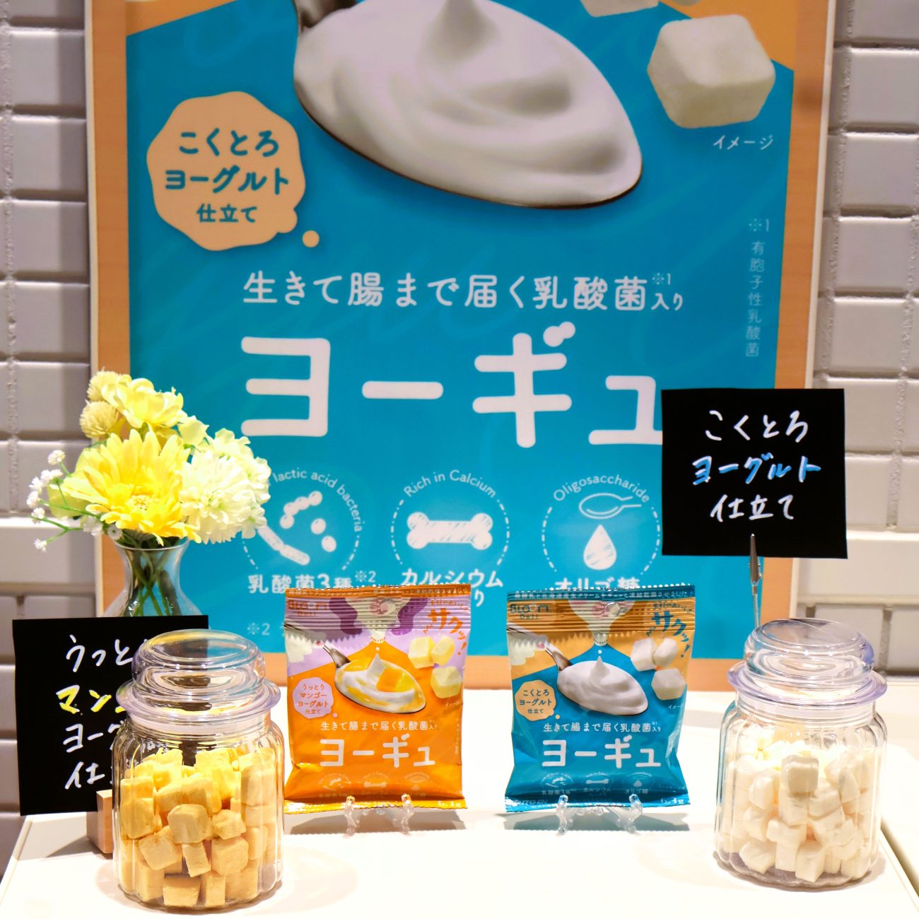 乳酸菌入りヨーグルト菓子「ヨーギュ」