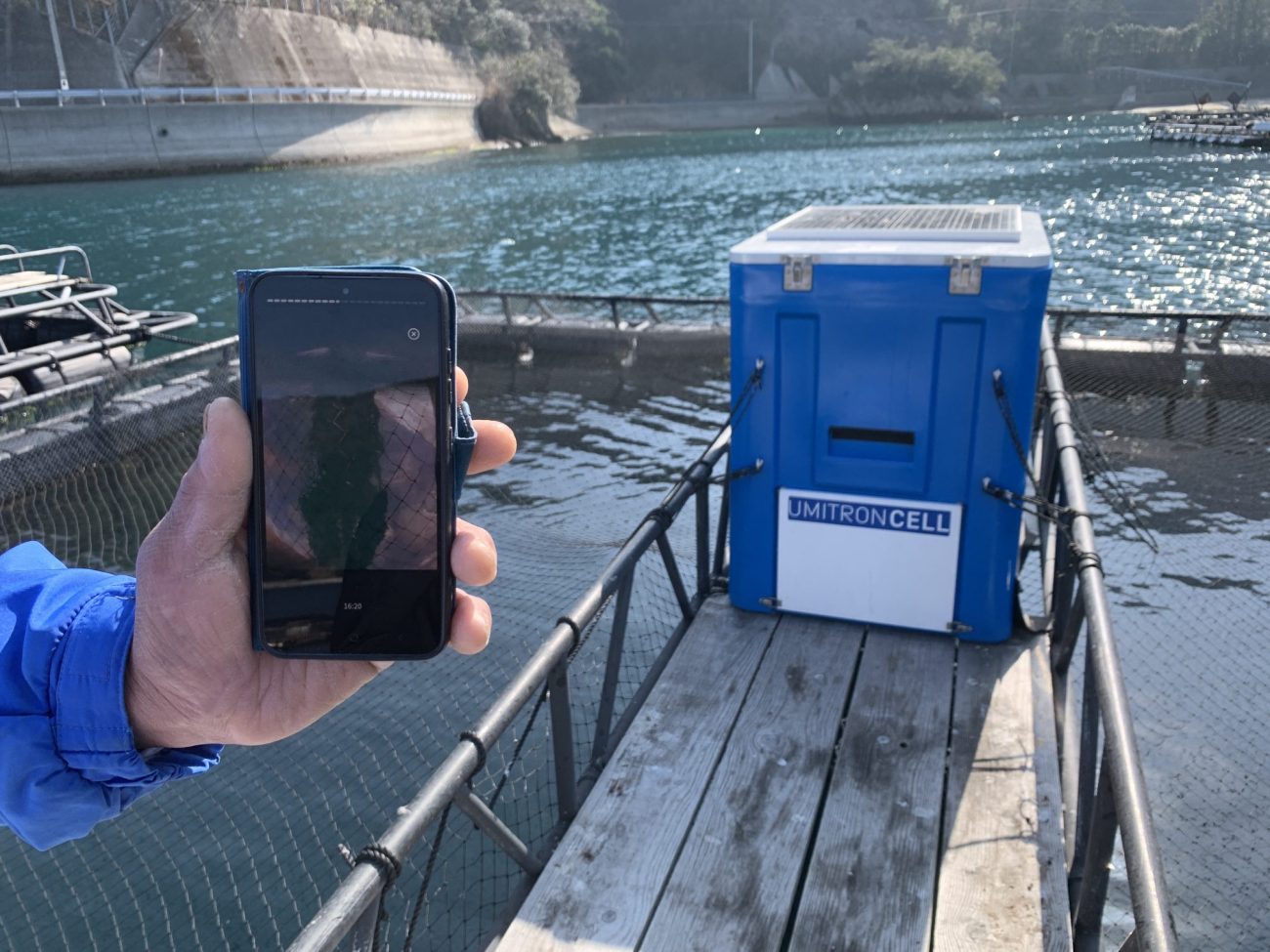 AIさばスマート給餌機