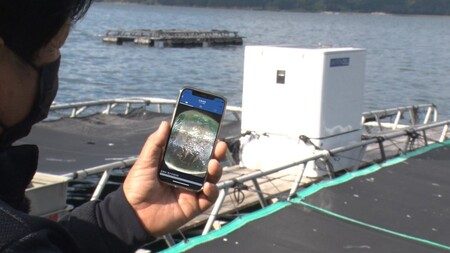 スマート養殖の様子