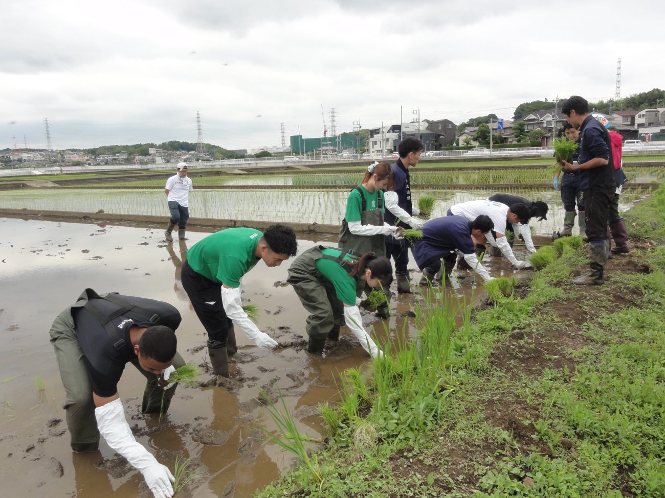 地場産品「横濱武道舞(米)」の田植えイベント
