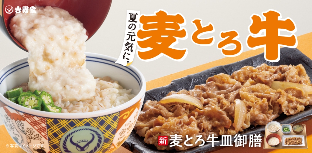 麦とろ牛皿御膳