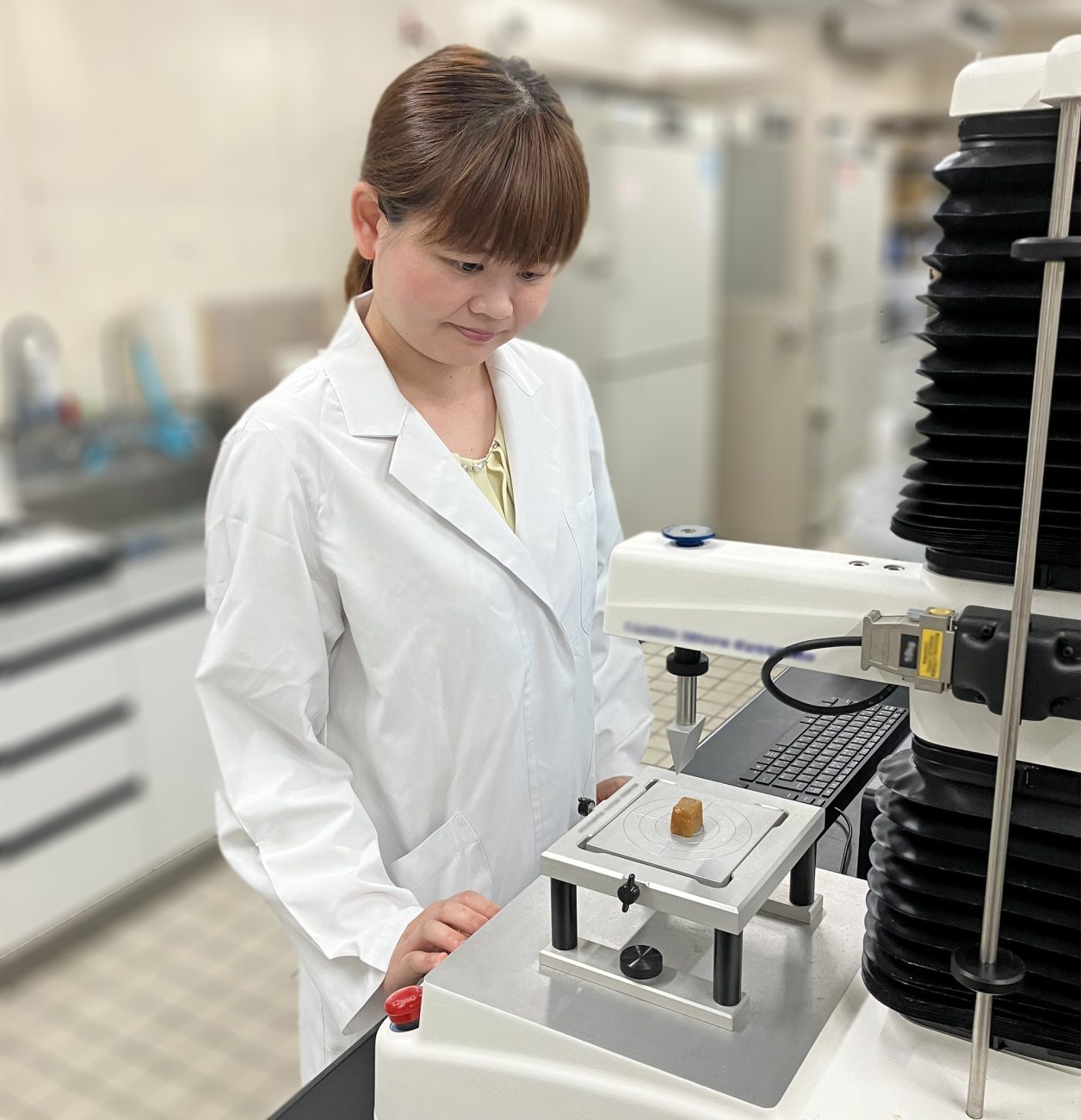 テクスチャーアナライザーを使い、ボンカレーのじゃがいもの食感を測定する鈴木研究員