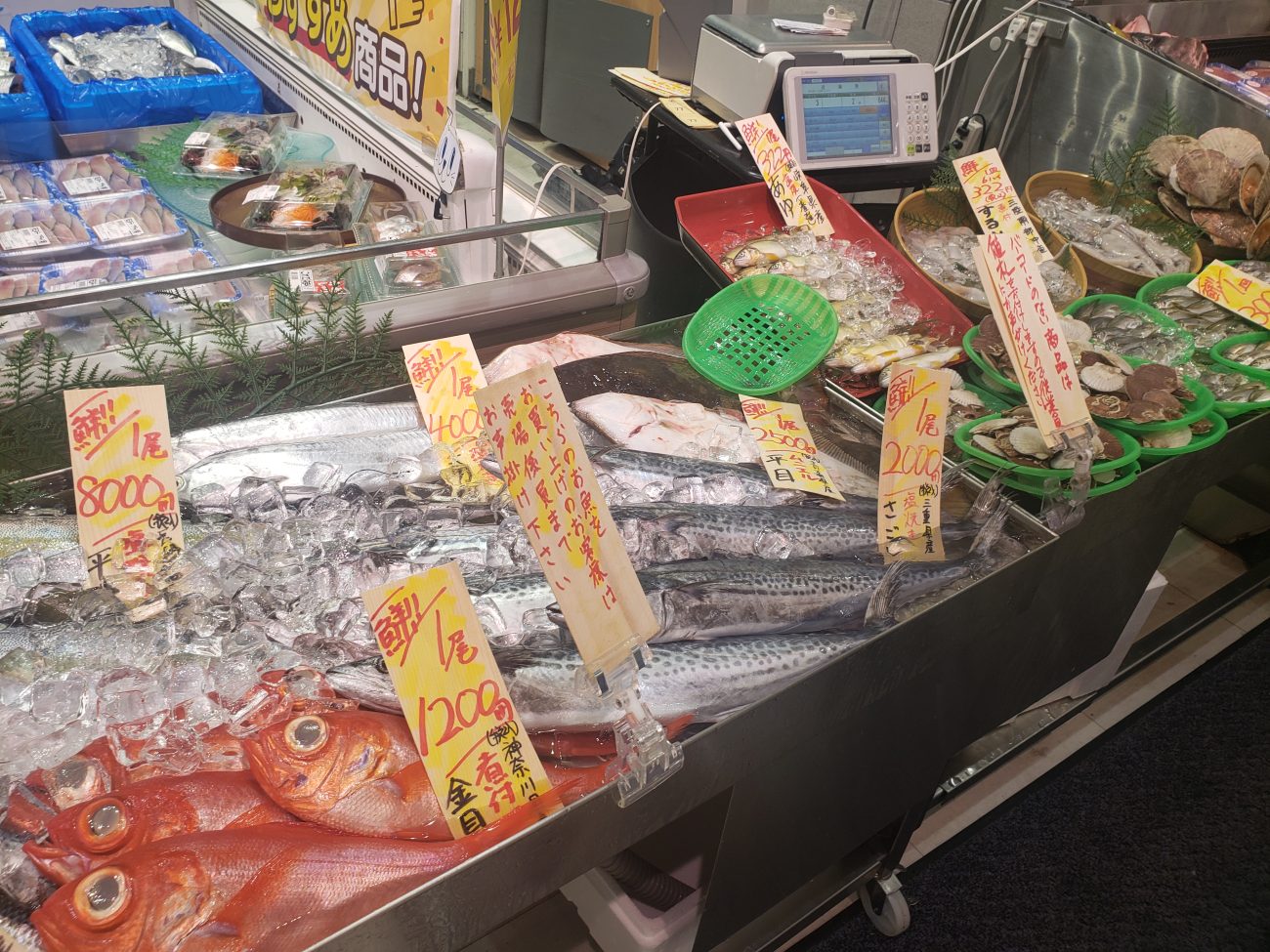 イトーヨーカ堂