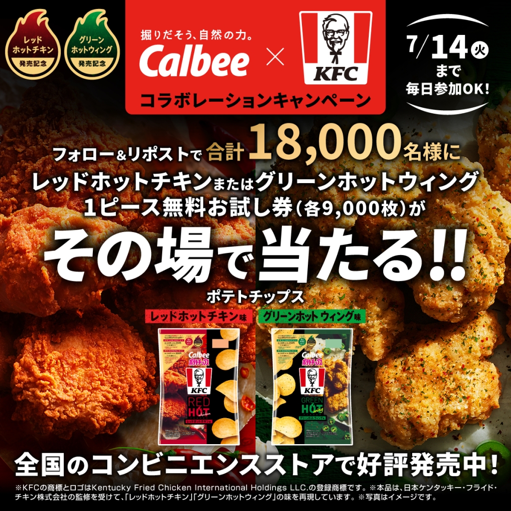 「Xフォロー＆リポストキャンペーン」概要