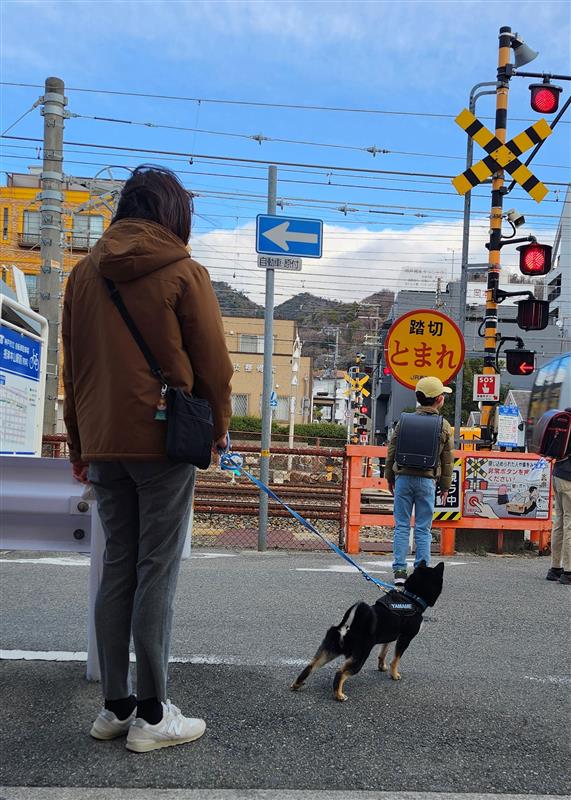 地域見守り活動「わんわん見守り隊」