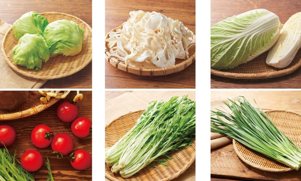 定番の国産野菜